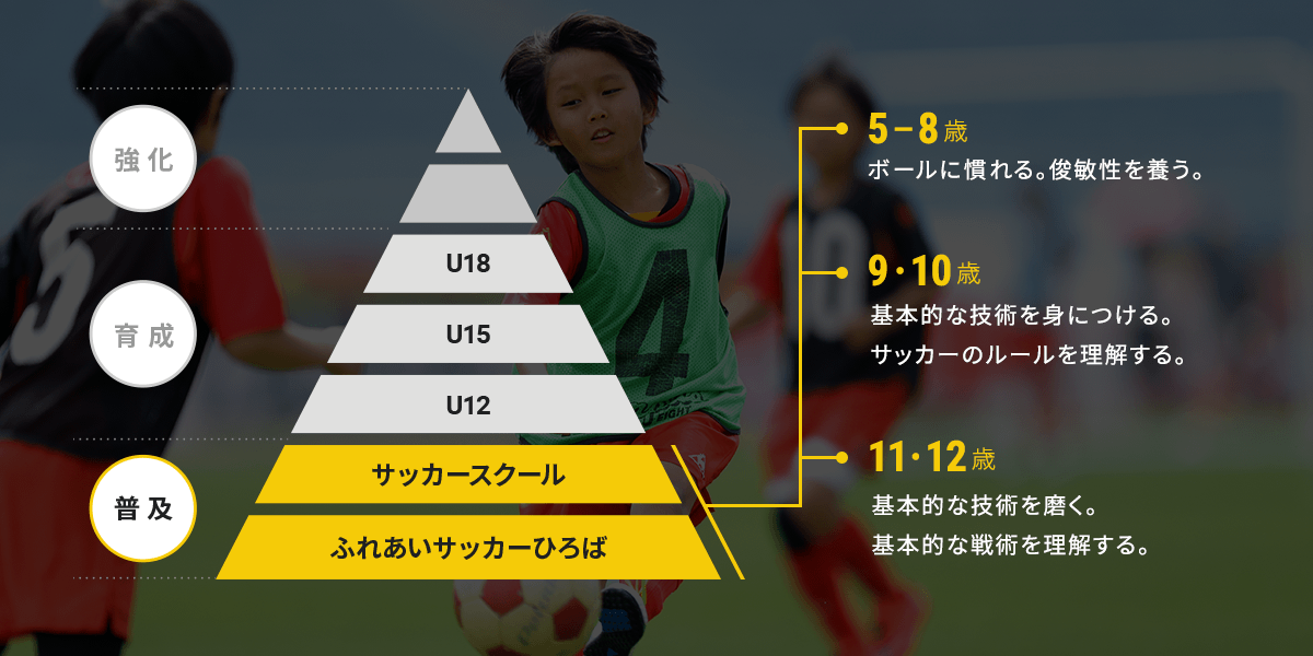 選手育成イメージ図