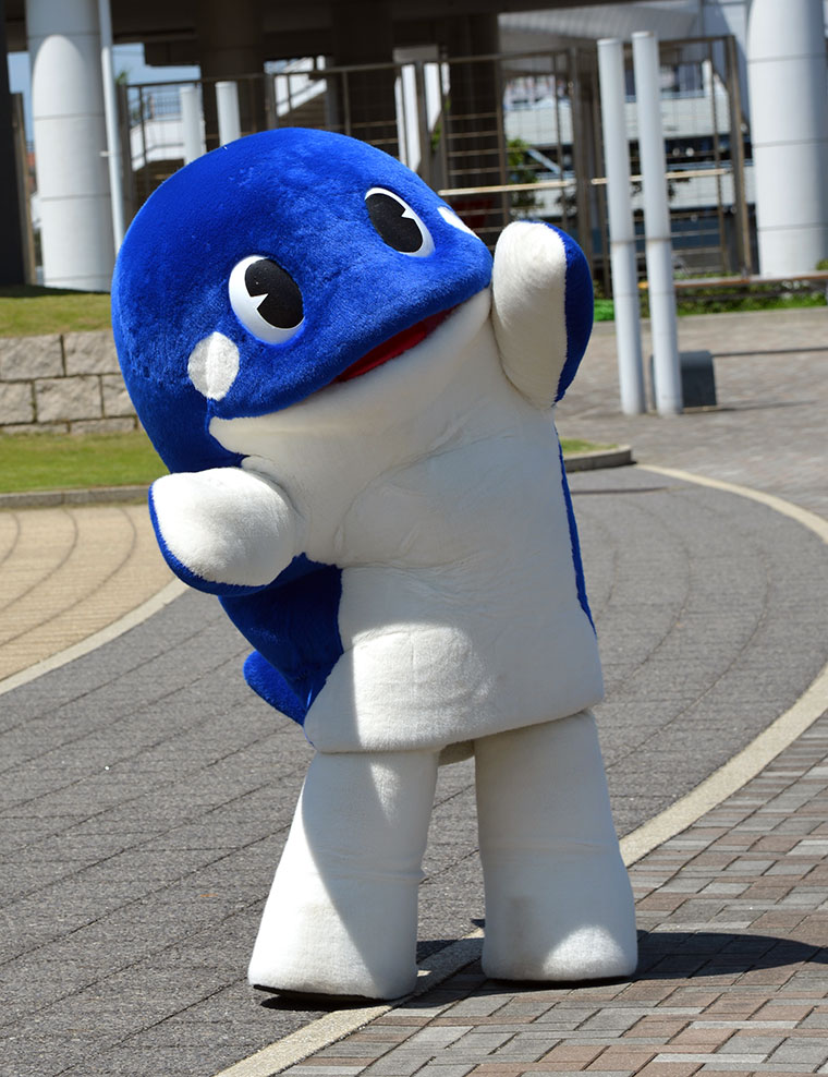 名古屋港水族館 名古屋グランパス シャチ展in豊田スタジアム ニュース 名古屋グランパス公式サイト