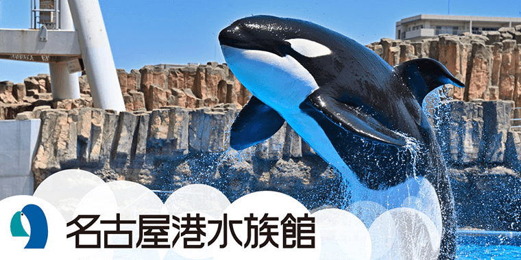 名古屋港水族館PRブース～海の仲間に会いに行こう！～｜ニュース