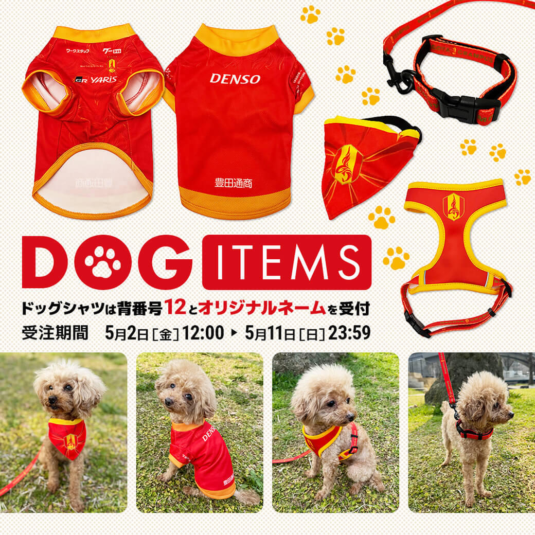 25_0502_kv_dogitem.jpg