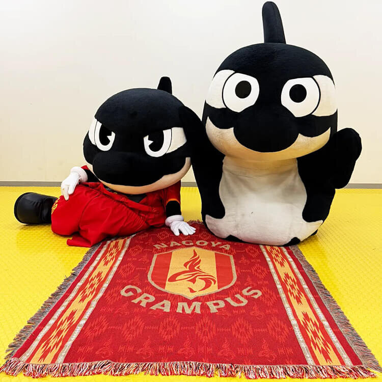 2026新春鯱袋販売のお知らせ｜ニュース｜名古屋グランパス公式サイト