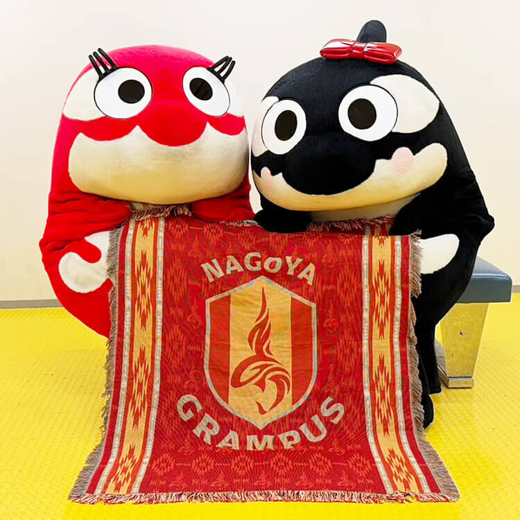 鯱袋 グランパスくん ルームウェア ルームシューズ セット パジャマ グランパス 2026新春鯱袋販売のお知らせ｜ニュース｜名古屋グランパス公式サイト