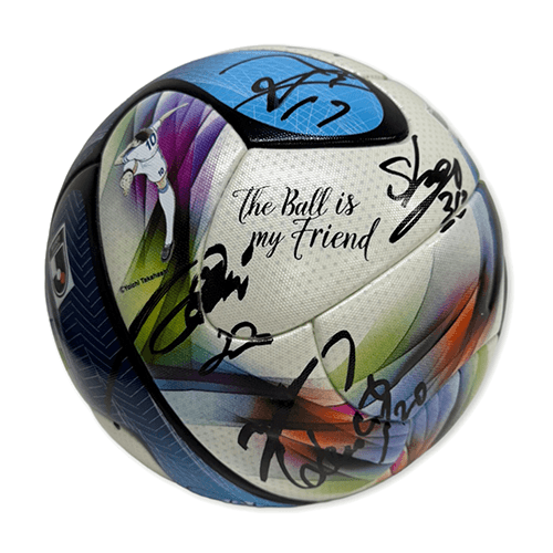 26_0424_sign_ball.png